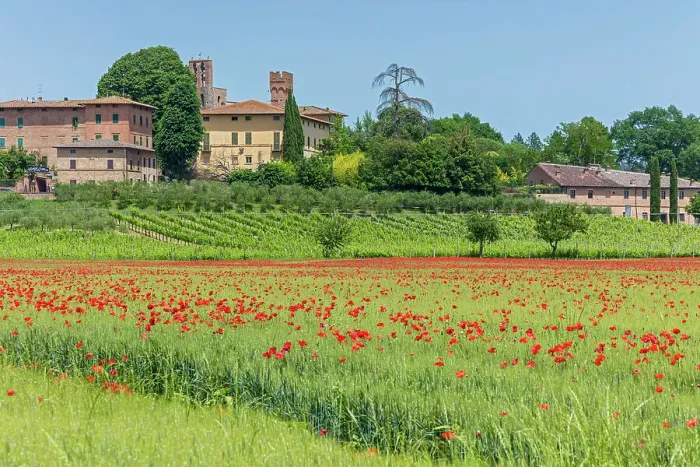 Framed Print : Italy, Tuscany, poppy field, Lucignano d Arbia village Framed Print : Italy, Tuscany, poppy field, Lucignano d Arbia village