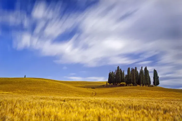 Framed Print : Italy, Tuscany, Siena district, Orcia Valley, Cypress on the hill near San Quirico Framed Print : Italy, Tuscany, Siena district, Orcia Valley, Cypress on the hill near San Quirico