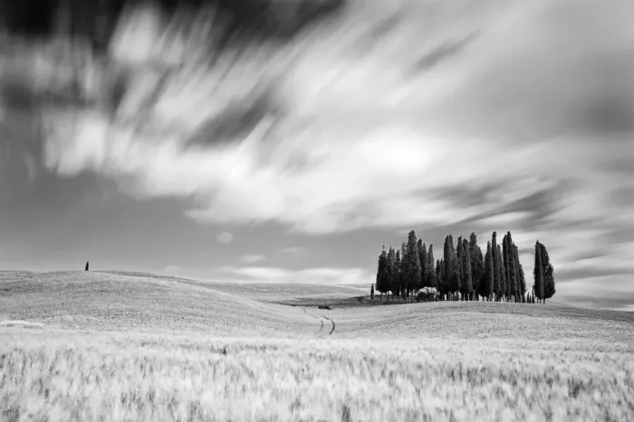 Framed Print : Italy, Tuscany, Siena district, Orcia Valley, Cypress on the hill near San Quirico