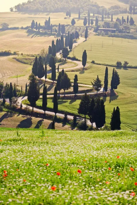 Framed Print : Italy, Tuscany, Siena district, Orcia Valley, Rolling landscape near Montichiello Framed Print : Italy, Tuscany, Siena district, Orcia Valley, Rolling landscape near Montichiello