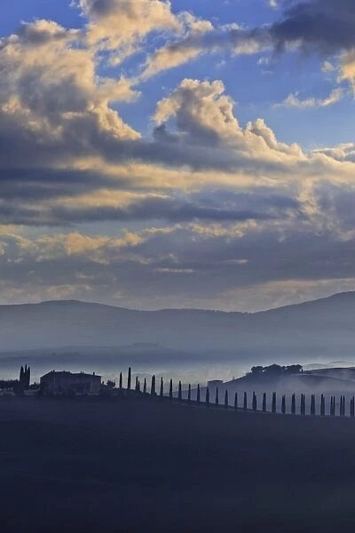 Italy, Tuscany, Siena district, Orcia Valley. Typical countryside