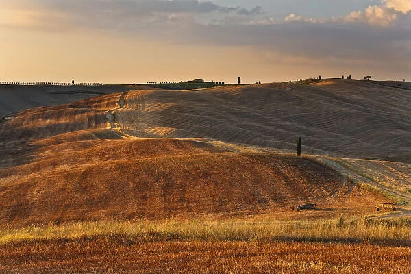 Italy, Tuscany, Siena district, Orcia Valley, countryside