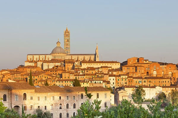 Italy, Tuscany, Siena district, Siena. Santa Maria Assunta Cathedral