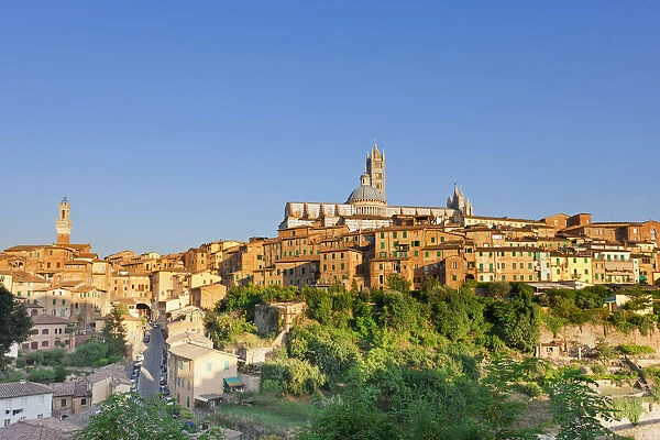 Italy, Tuscany, Siena district, Siena. Torre del Mangia and Santa Maria Assunta Cathedral