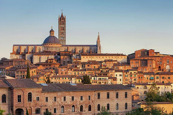 Italy, Tuscany, Siena town, old town, Cathedral (Duomo)