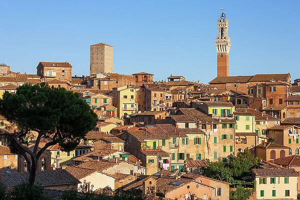 Italy, Tuscany, Siena town, Torre del Mangia tower