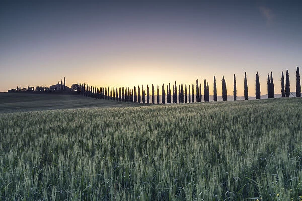 Italy, Tuscany, Val d Orcia: the first lights on Poggio Covili