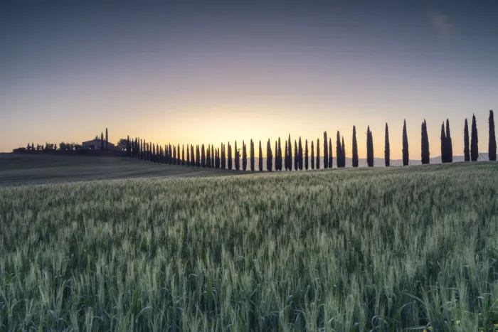 Framed Print : Italy, Tuscany, Val d Orcia: the first lights on Poggio Covili Framed Print : Italy, Tuscany, Val d Orcia: the first lights on Poggio Covili