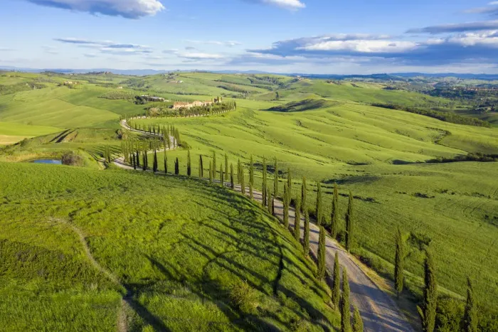 Framed Print : Italy, Tuscany, Val d Orcia, Siena Province, Cypress tree road leading to Framed Print : Italy, Tuscany, Val d Orcia, Siena Province, Cypress tree road leading to