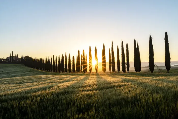 Framed Print : Italy, Tuscany, Val d orcia: the Sun rises over the Poggio Covili farm Framed Print : Italy, Tuscany, Val d orcia: the Sun rises over the Poggio Covili farm