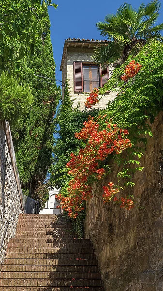 Italy, Umbria. A little stairway in the town centre of Bevagna with beautiful flowers and plants