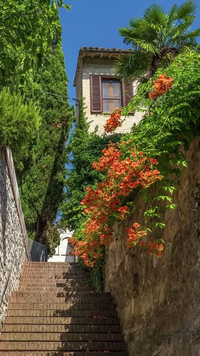 Framed Print : Italy, Umbria. A little stairway in the town centre of Bevagna with beautiful flowers and plants Framed Print : Italy, Umbria. A little stairway in the town centre of Bevagna with beautiful flowers and plants