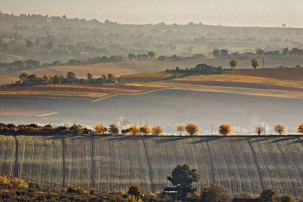 Italy, Umbria, Perugia district. Autumnal countryside near Montefalco