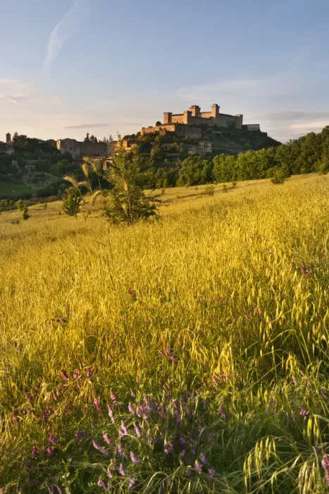 Framed Print : Italy, Umbria, Perugia district, Spoleto, Rocca Albornoz Framed Print : Italy, Umbria, Perugia district, Spoleto, Rocca Albornoz