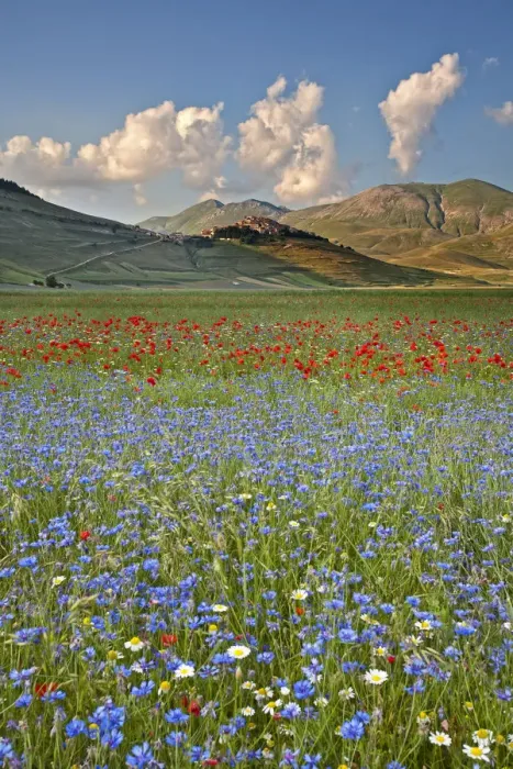 Framed Print : Italy, Umbria, Perugia district, Monti Sibillini NP, Norcia, Castelluccio