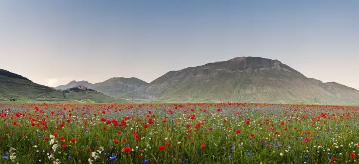 Framed Print : Italy, Umbria, Perugia district, Monti Sibillini NP, Norcia, Castelluccio Framed Print : Italy, Umbria, Perugia district, Monti Sibillini NP, Norcia, Castelluccio