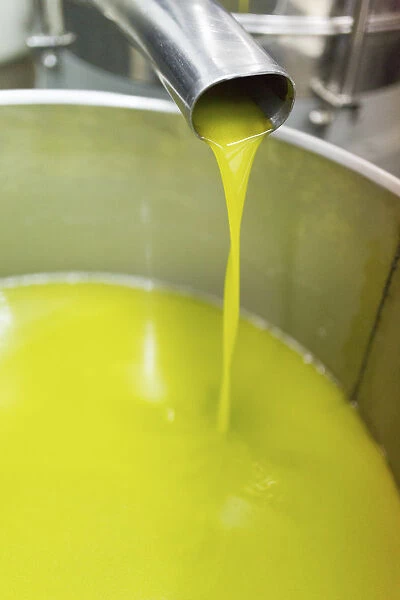 Italy, Umbria, Perugia district, Montefalco, production olive oil