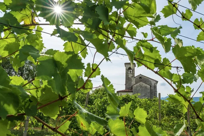 Framed Print : Italy, Veneto. A church in the Prosecco hills near to Valdobbiadene Framed Print : Italy, Veneto. A church in the Prosecco hills near to Valdobbiadene