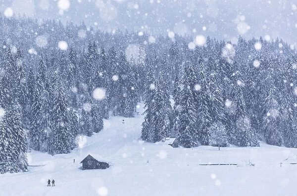 Italy, Veneto, Dolomites, Winter in Sappada