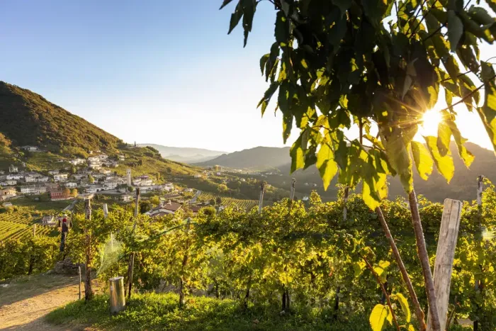 Framed Print : Italy, Veneto. Prosecco Road. Treviso district. Follo, vineyards of Prosecco Framed Print : Italy, Veneto. Prosecco Road. Treviso district. Follo, vineyards of Prosecco