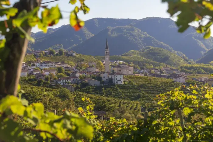 Framed Print : Italy, Veneto. Prosecco Road. Treviso district. Valdobbiadene. vineyards of Prosecco