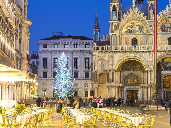 Italy, Veneto, Venice. Christmas tree in St Marks square near the cathedral, at dusk