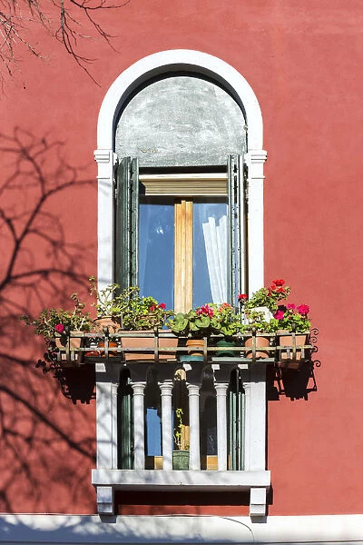 Italy, Veneto, Venice, Murano island. Ornate traditional window