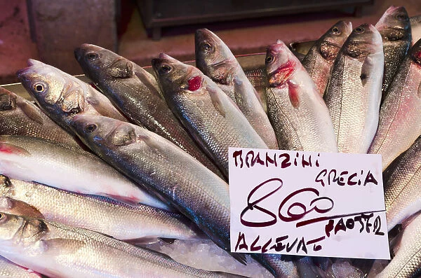Italy, Veneto, Venice, Rialto Fish Market