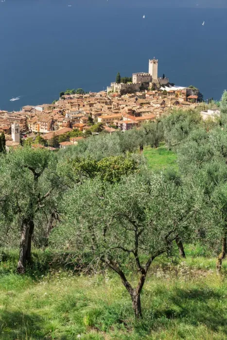 Framed Print : Italy. Veneto. Verona district. Lake Garda. Malcesine. Scaligero castle Framed Print : Italy. Veneto. Verona district. Lake Garda. Malcesine. Scaligero castle