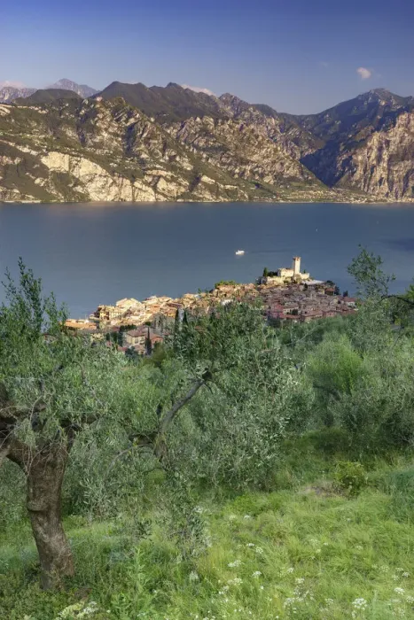 Framed Print : Italy. Veneto. Verona district. Lake Garda. Malcesine. Scaligero castle Framed Print : Italy. Veneto. Verona district. Lake Garda. Malcesine. Scaligero castle