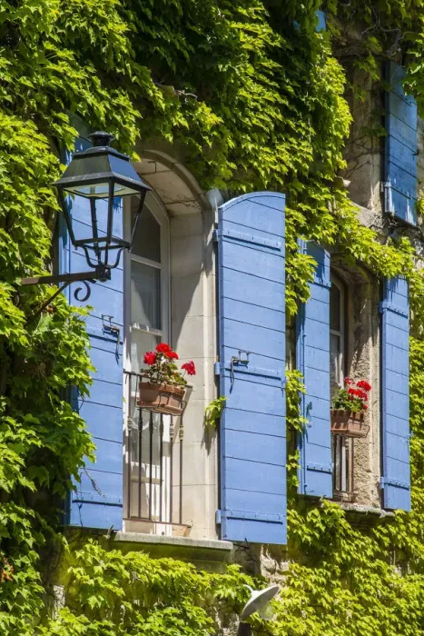 Framed Print : Ivy surrounded house windows in Provence, France Framed Print : Ivy surrounded house windows in Provence, France