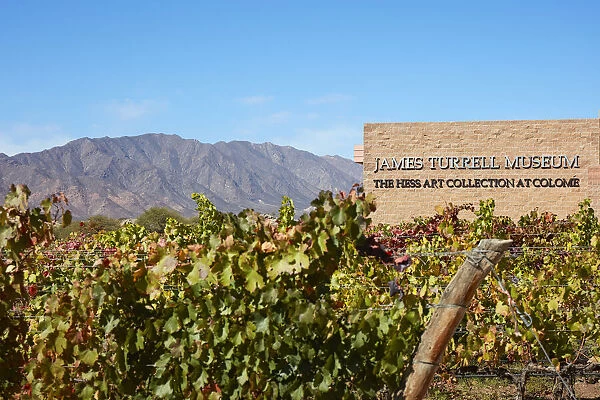 The 'James Turrel Museum'and the vineyards of the Bodega Coloma©winery