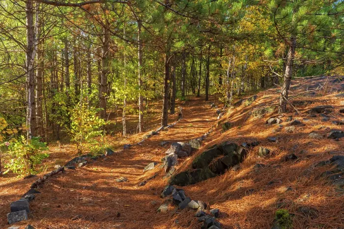 Framed Print : Jane Goodall Trail in reclaimed landscape after 40 years of growth, Sudbury, Ontario, Canada Framed Print : Jane Goodall Trail in reclaimed landscape after 40 years of growth, Sudbury, Ontario, Canada