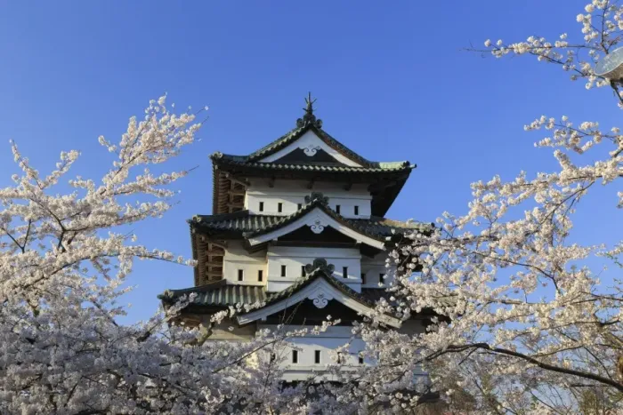 Framed Print : Japan, Aomori Prefecture, Hirosaki, Hirosaki Jo Castle and cherry trees Framed Print : Japan, Aomori Prefecture, Hirosaki, Hirosaki Jo Castle and cherry trees