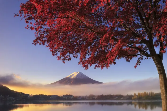Framed Print : Japan, Fuji - Hakone - Izu National Park, Mt Fuji and Kawaguchi Ko Lake Framed Print : Japan, Fuji - Hakone - Izu National Park, Mt Fuji and Kawaguchi Ko Lake
