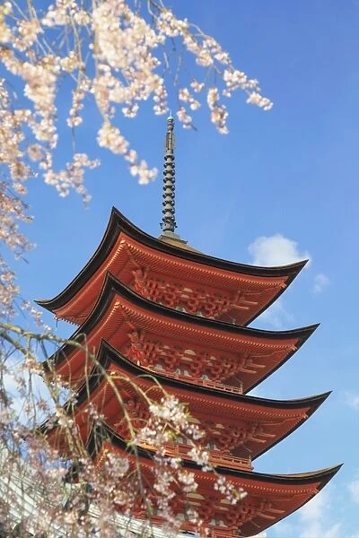 Japan, Hiroshima, Miyajima Island, Itsukushima-jinja Shinto Shrine