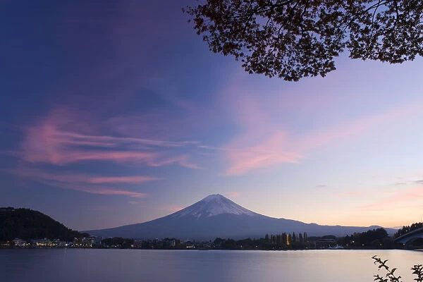 Japan, Honshu Island, Kawaguchi Ko Lake, Mt. Fuji and Maple Trees