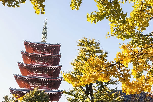 Japan, Honshu, Tokyo, Asakusa, Sensoji Temple aka Asakusa Kannon Temple