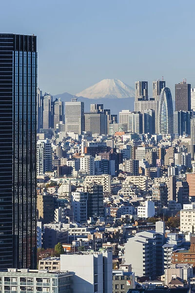 Japan, Honshu, Tokyo, City Skyline and Mt. Fuji