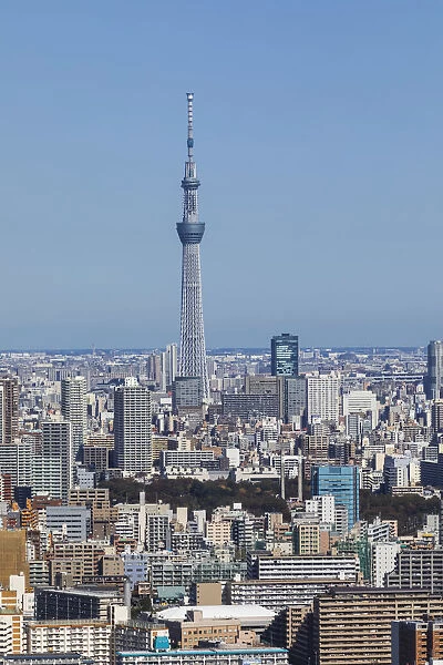 Japan, Honshu, Tokyo, Toyosu Area Skyline and Skytree Tower