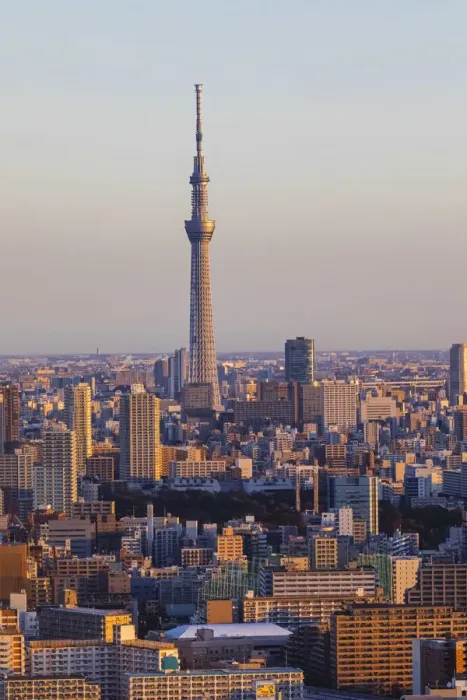 Framed Print : Japan, Honshu, Tokyo, Toyosu Area Skyline and Skytree Tower Framed Print : Japan, Honshu, Tokyo, Toyosu Area Skyline and Skytree Tower