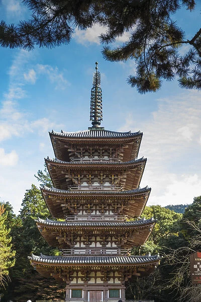 Japan, Kyoto, Daigoji Temple, Goju-no-to pagoda