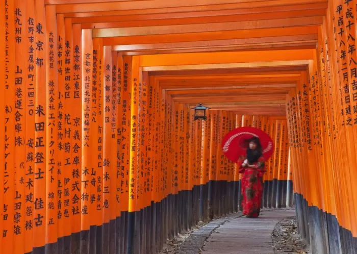Framed Print : Japan, Kyoto, Fushimi Inari Taisha Shrine, Tunnel of Torii Gates Framed Print : Japan, Kyoto, Fushimi Inari Taisha Shrine, Tunnel of Torii Gates
