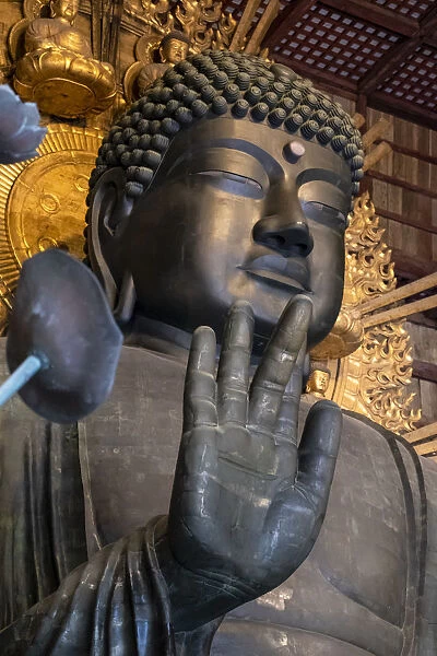 Japan, Nara, Great Buddha statue