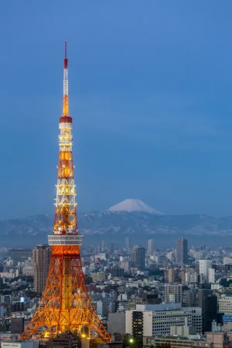 Framed Print : Japan, Tokyo, elevated night view of the city skyline and iconic illuminated Tokyo Tower