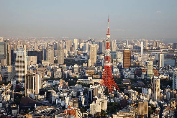 Japan, Tokyo, Roppongi, View of Tokyo Tower and City Skyline from Tokyo City View Tower