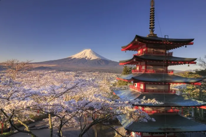 Framed Print : Japan, Yamanashi Prefecture, Fuji-Yoshida, Chureito Pagoda and Mt Fuji during Cherry