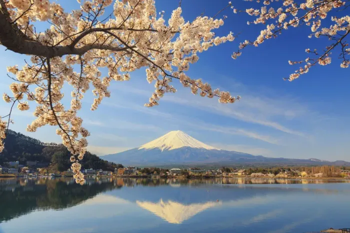 Framed Print : Japan, Yamanashi Prefecture, Kawaguchi-ko Lake, Mt Fuji and Cherry Blossoms Framed Print : Japan, Yamanashi Prefecture, Kawaguchi-ko Lake, Mt Fuji and Cherry Blossoms