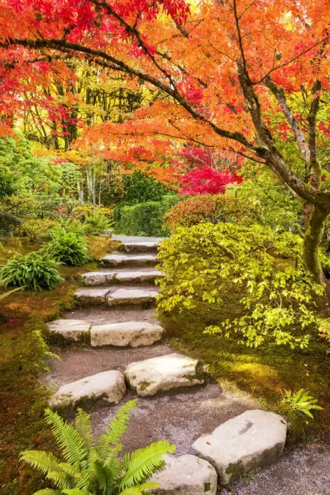 Framed Print : Japanese Garden in Autumn, Seattle, Washington, USA