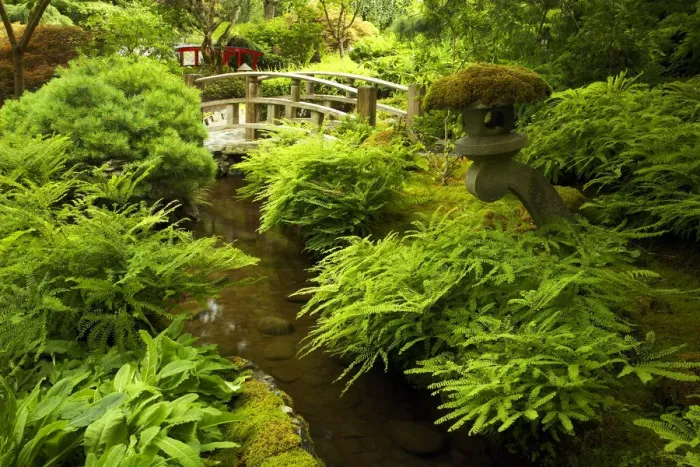 Framed Print : Japanese Garden, Butchart Gardens, Victoria, Vancouver Island, British Columbia, Canada Framed Print : Japanese Garden, Butchart Gardens, Victoria, Vancouver Island, British Columbia, Canada